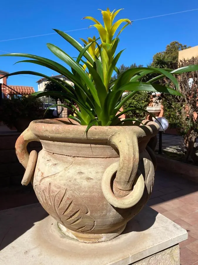 Bed & Breakfast Villa Marogna Alghero